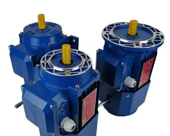 ʹ늙C(j)ľSo(h)ʲô